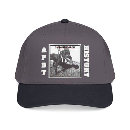 Mid Profile Baseball Cap